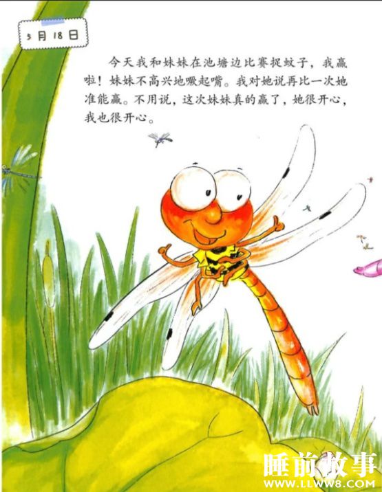 绘本故事｜《蜻蜓的日记》